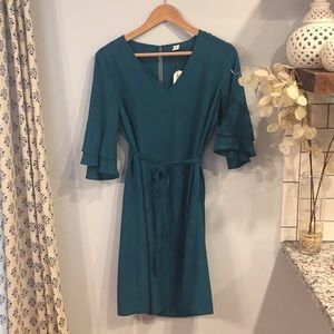 NWT Ruffle Sleeve Dress